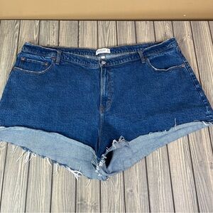 Abercrombie & Fitch The 90s Relaxed Cutoff Short High Rise Curve Love Size 37/24